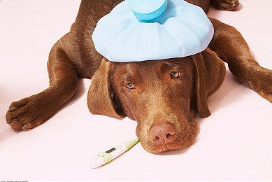 《赛博朋克2077》支持FSR2.1后 XSS受益明显